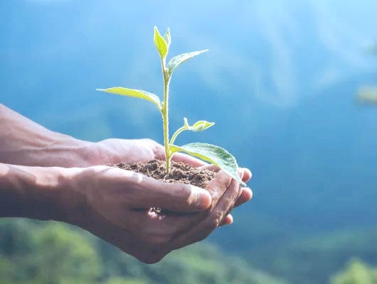 Empresa Systec: Conciencia ecológica